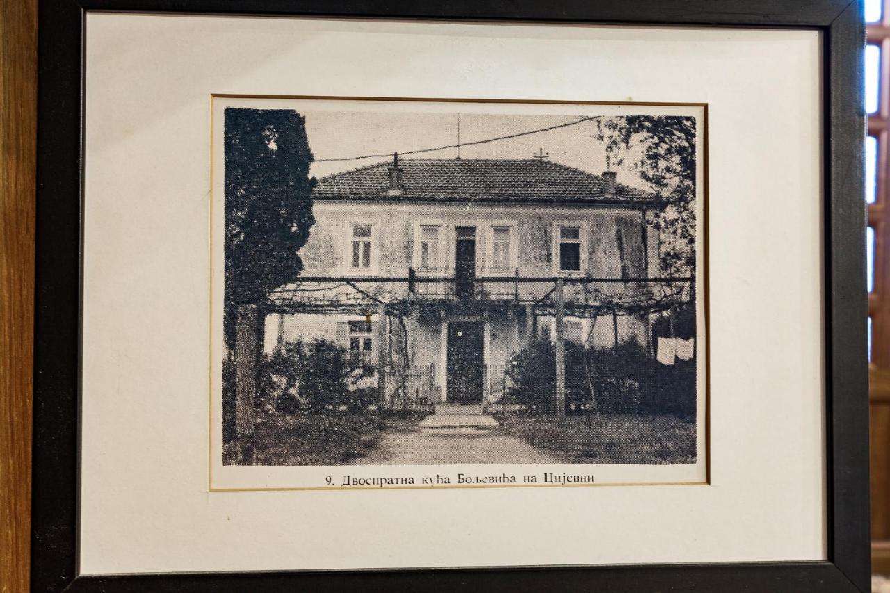 Vila Boljevic Podgorica Bagian luar foto