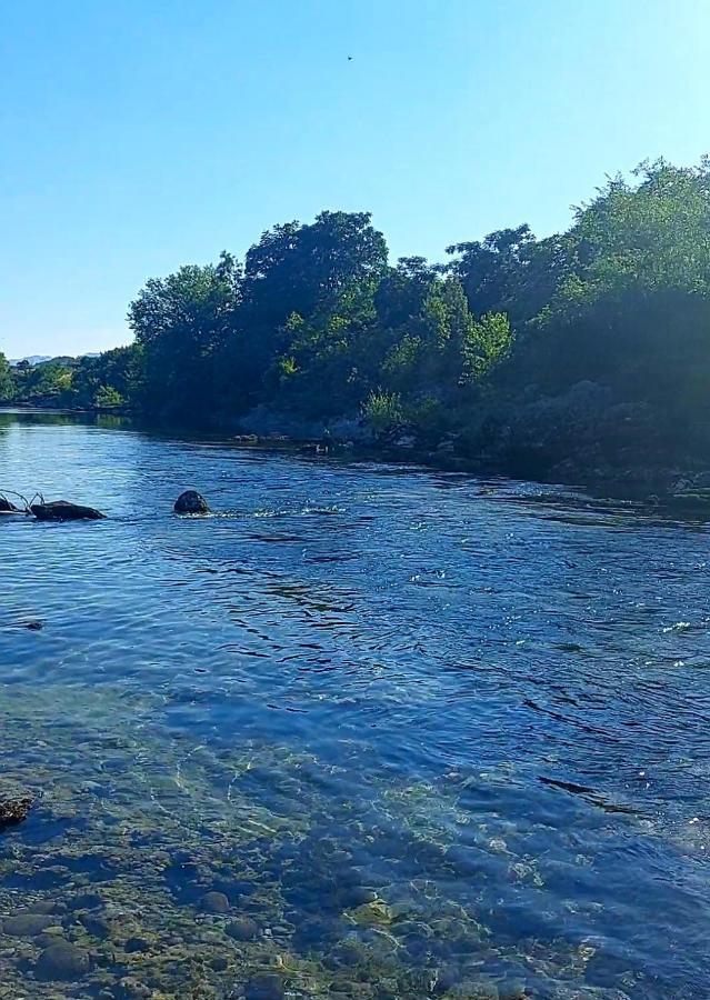 Vila Boljevic Podgorica Bagian luar foto
